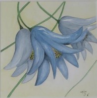 25,5 X 25,5 cm  Aquarell