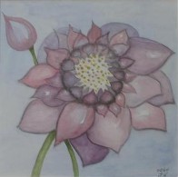 25,5 X 25,5 cm  Aquarell