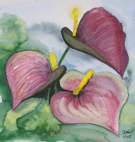 25,5 X 25,5 cm Aquarell