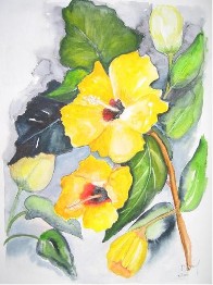 30 X 40 cm  Aquarell