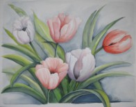 50 X 60  cm  Aquarell