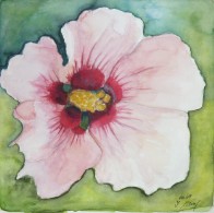 25,5 X 25,5 cm Aquarell